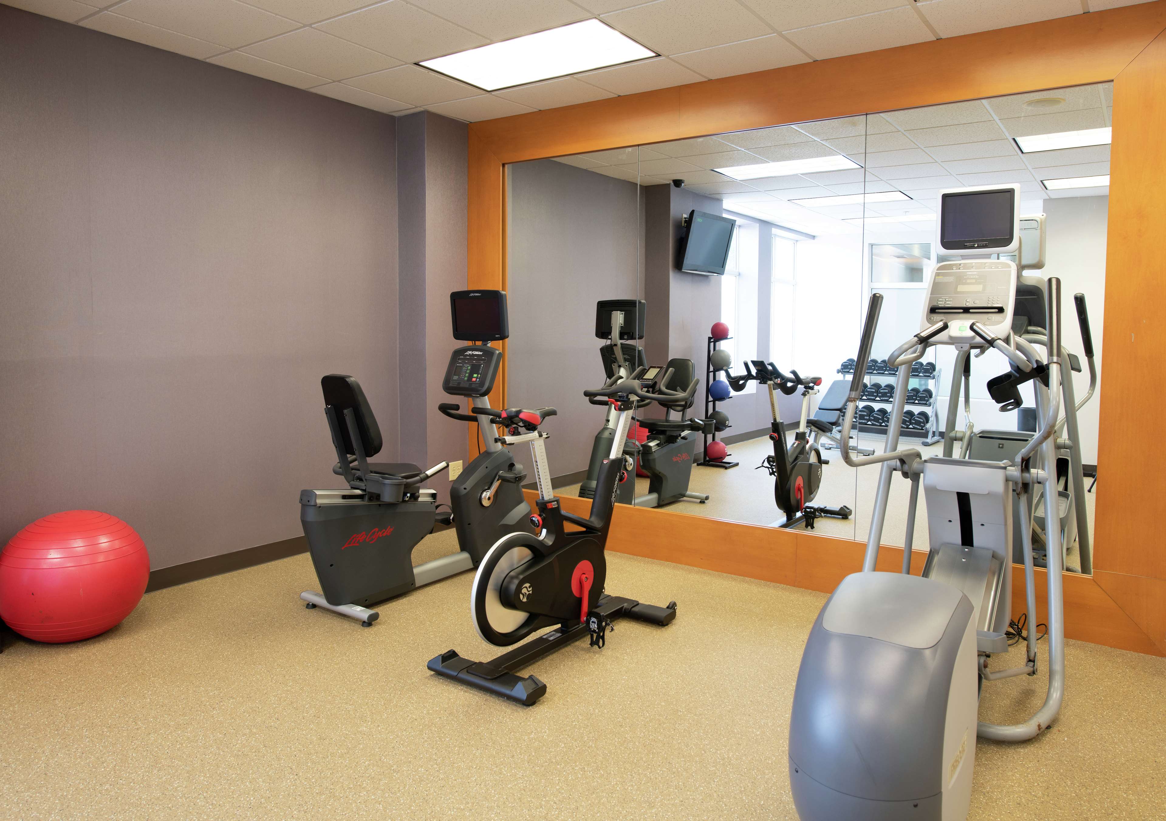 Health club  fitness center  gym