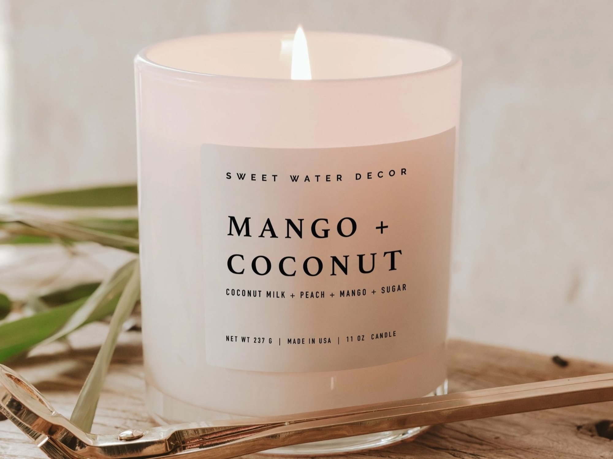 Mango and Coconut 11 oz Soy Candle - Decor & Gifts