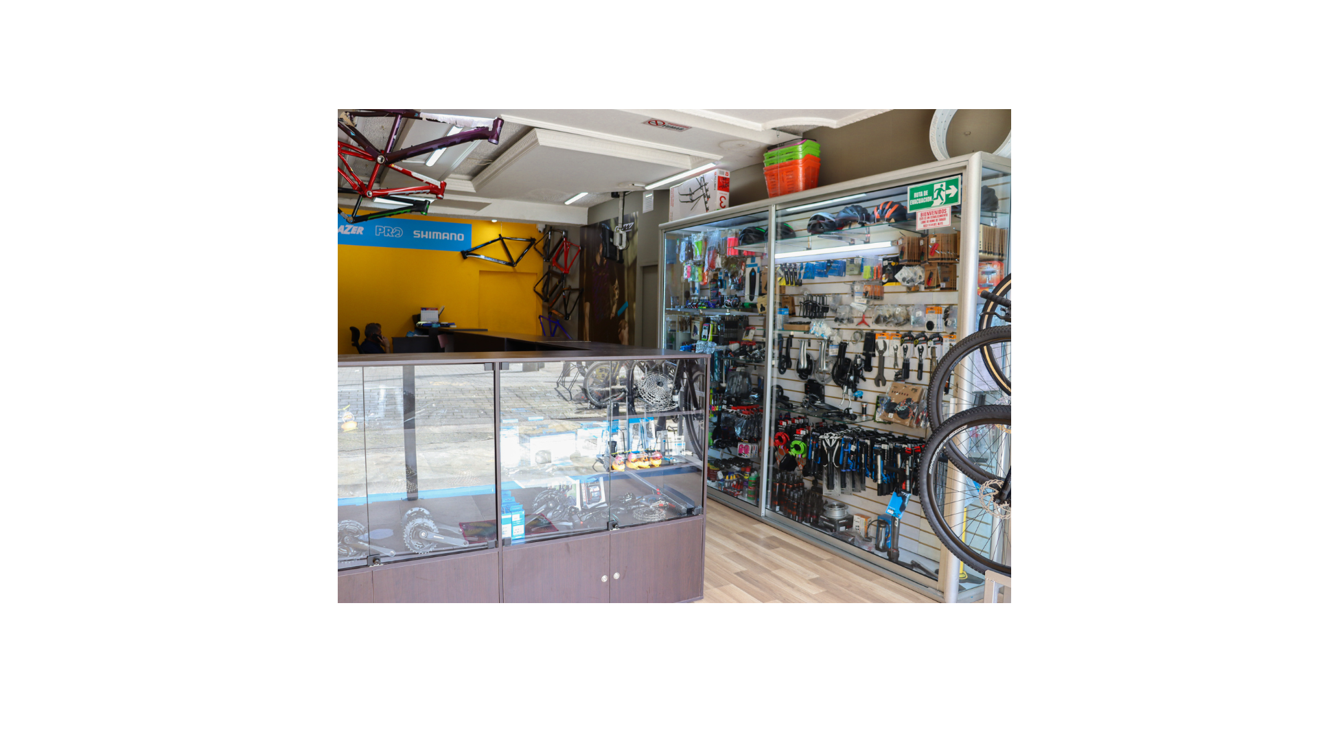 Galería en miniatura