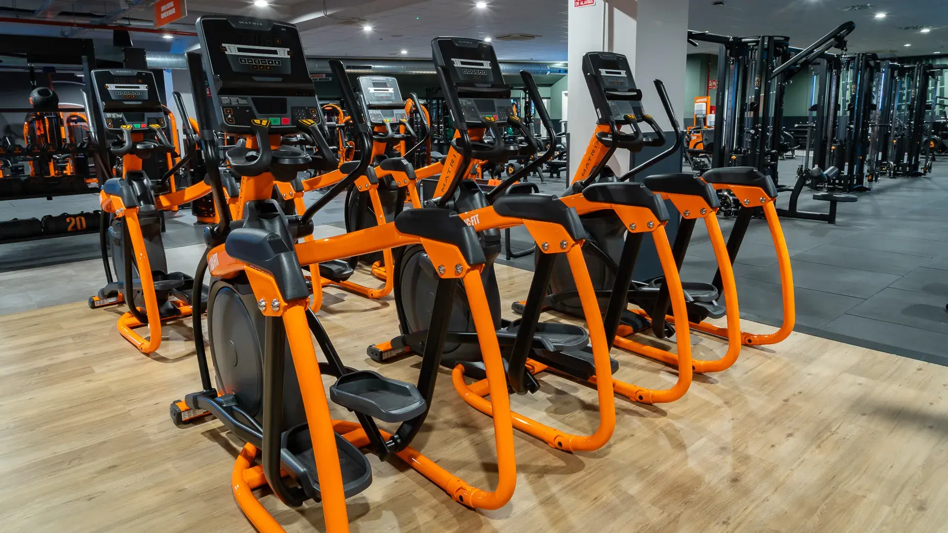 Galería en miniatura