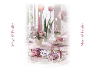 Bilder Mayr & Fessler