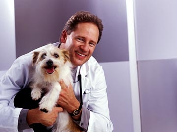 VCA Met Vet West Animal Hospital Photo