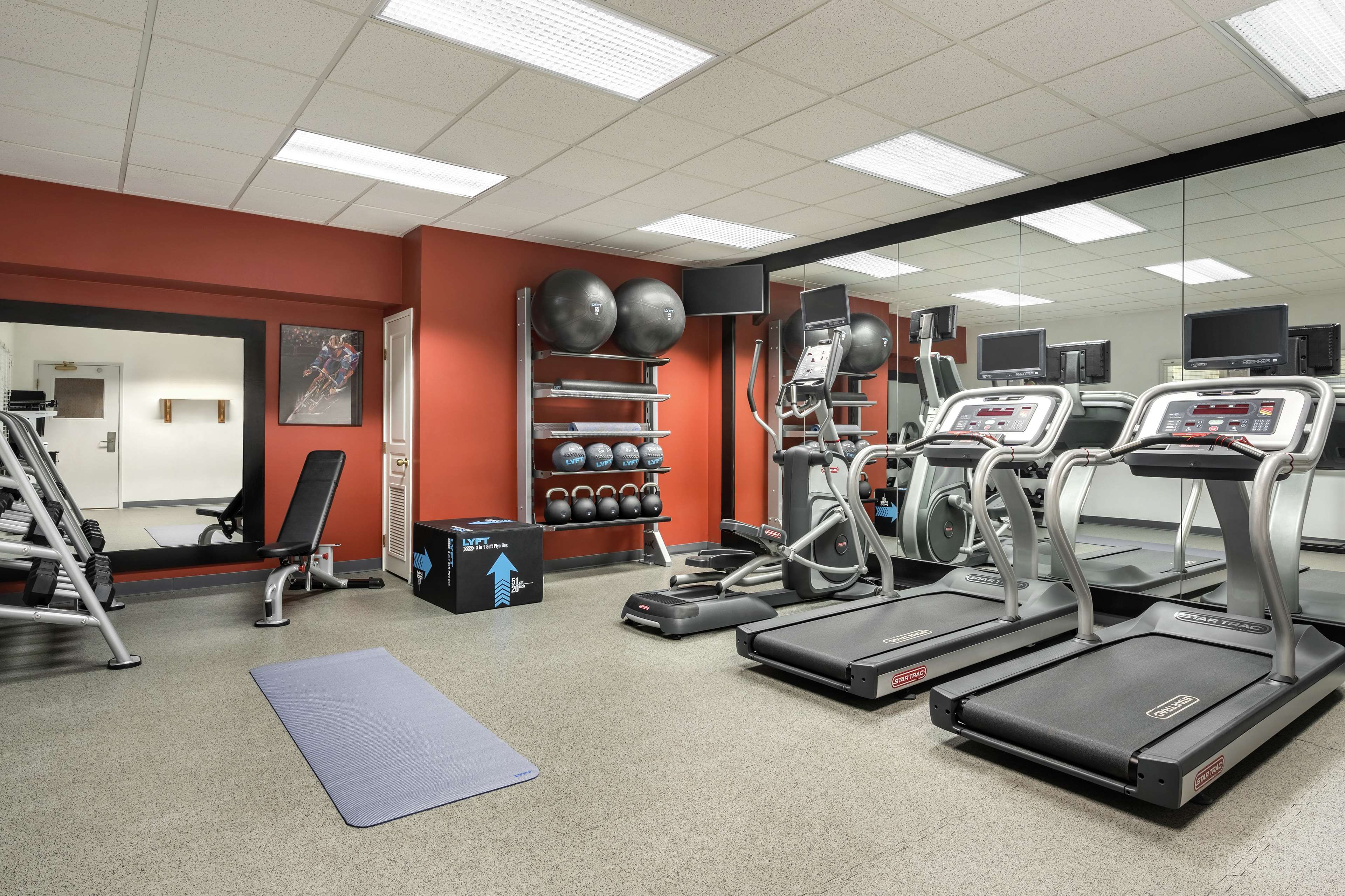 Health club  fitness center  gym
