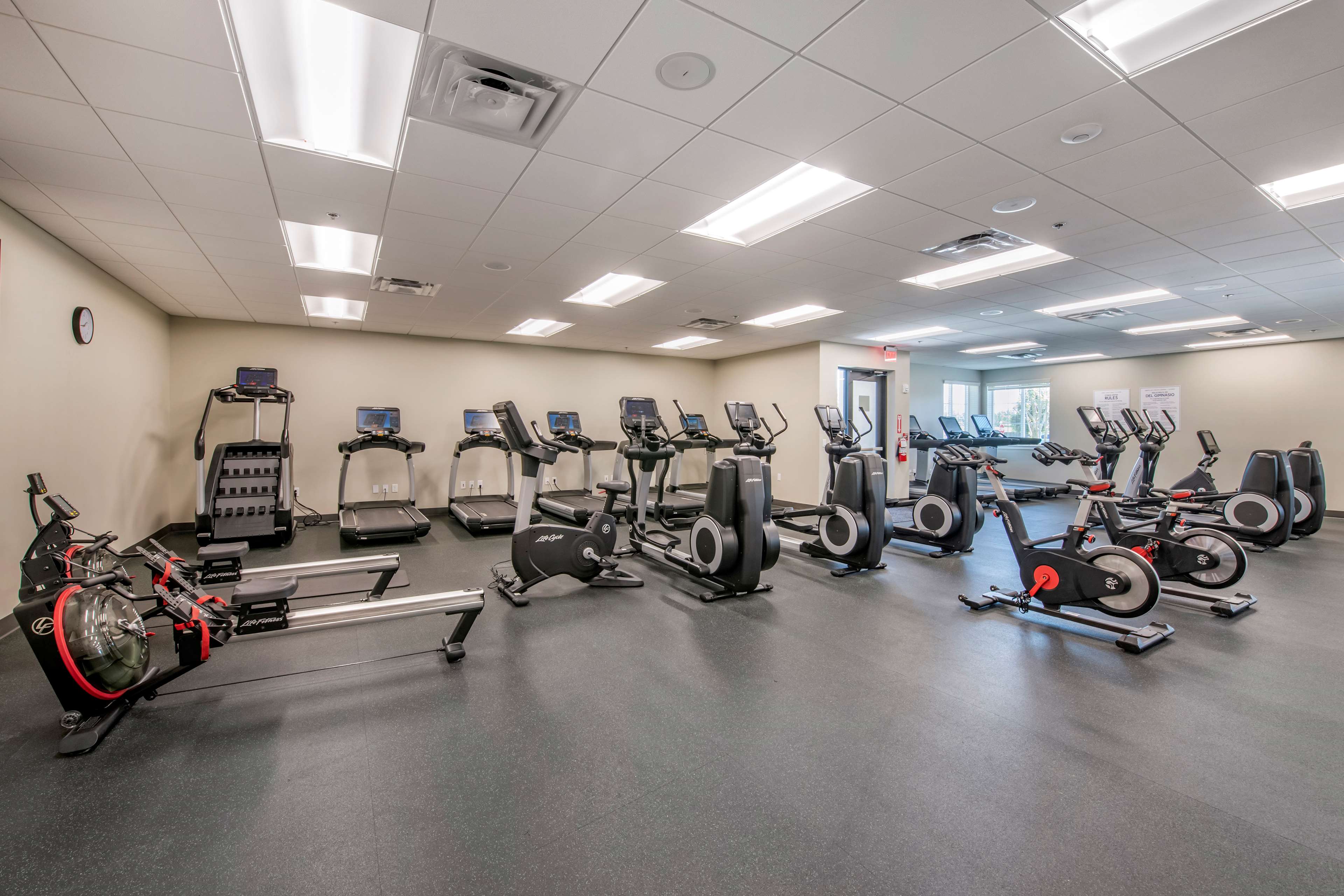 Health club  fitness center  gym