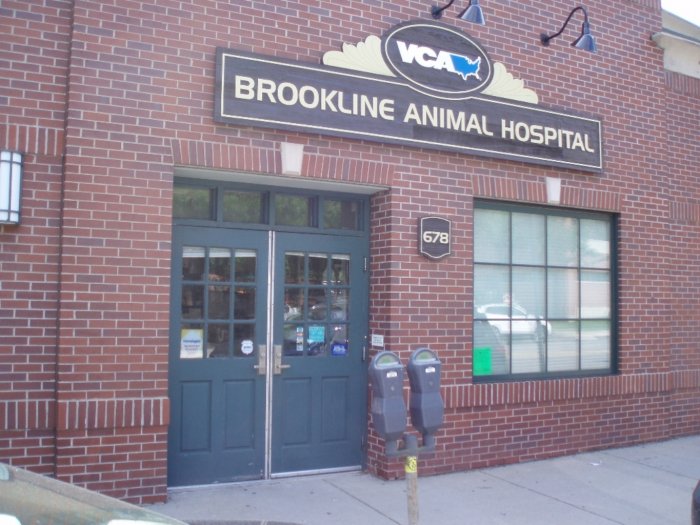 VCA Brookline Animal Hospital Photo