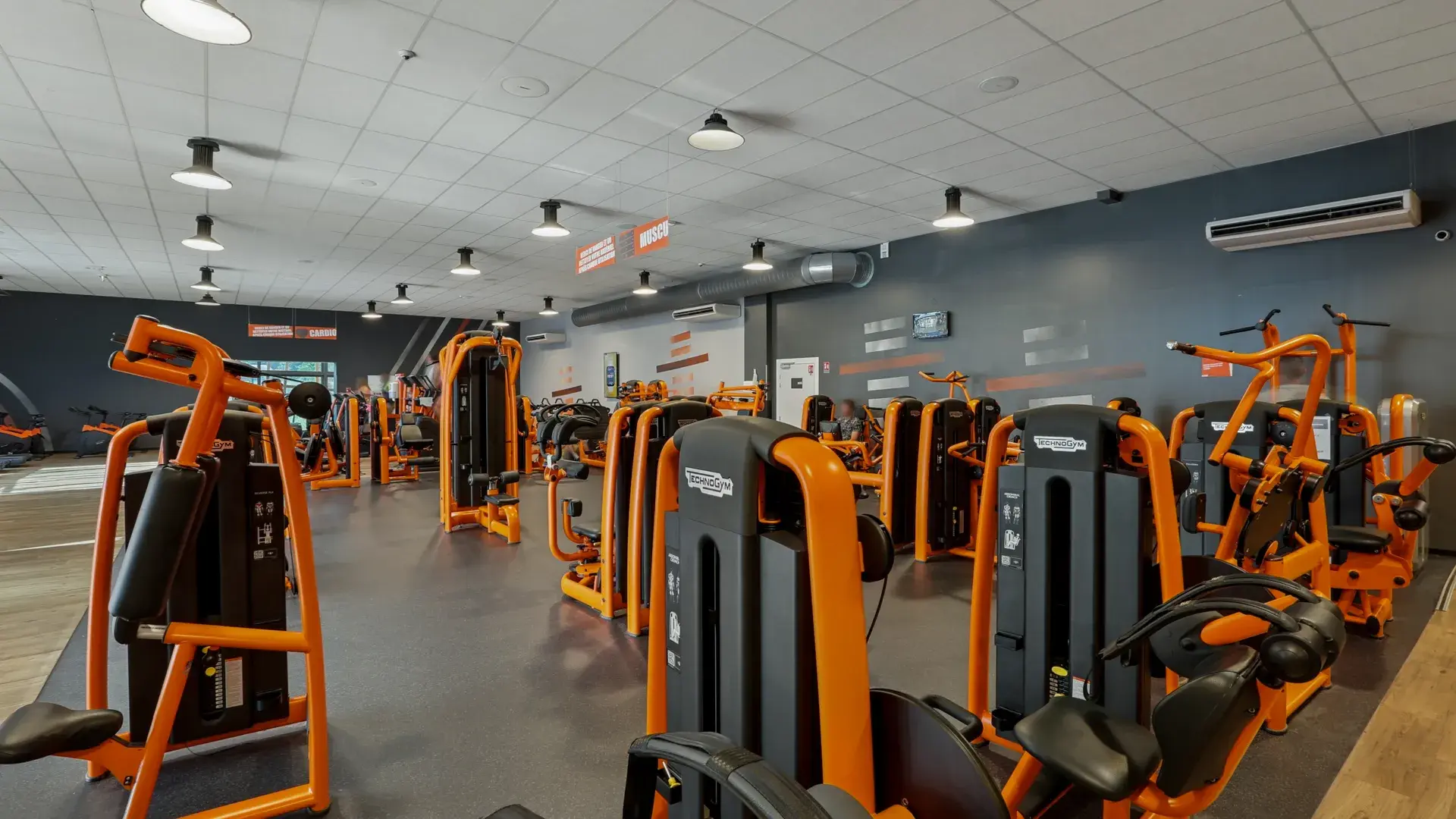 Miniature de la galerie