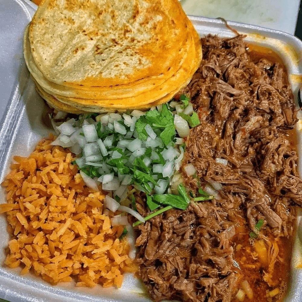 Birria plate