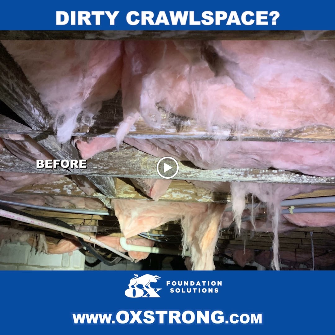 Ox Foundation Solutions Image