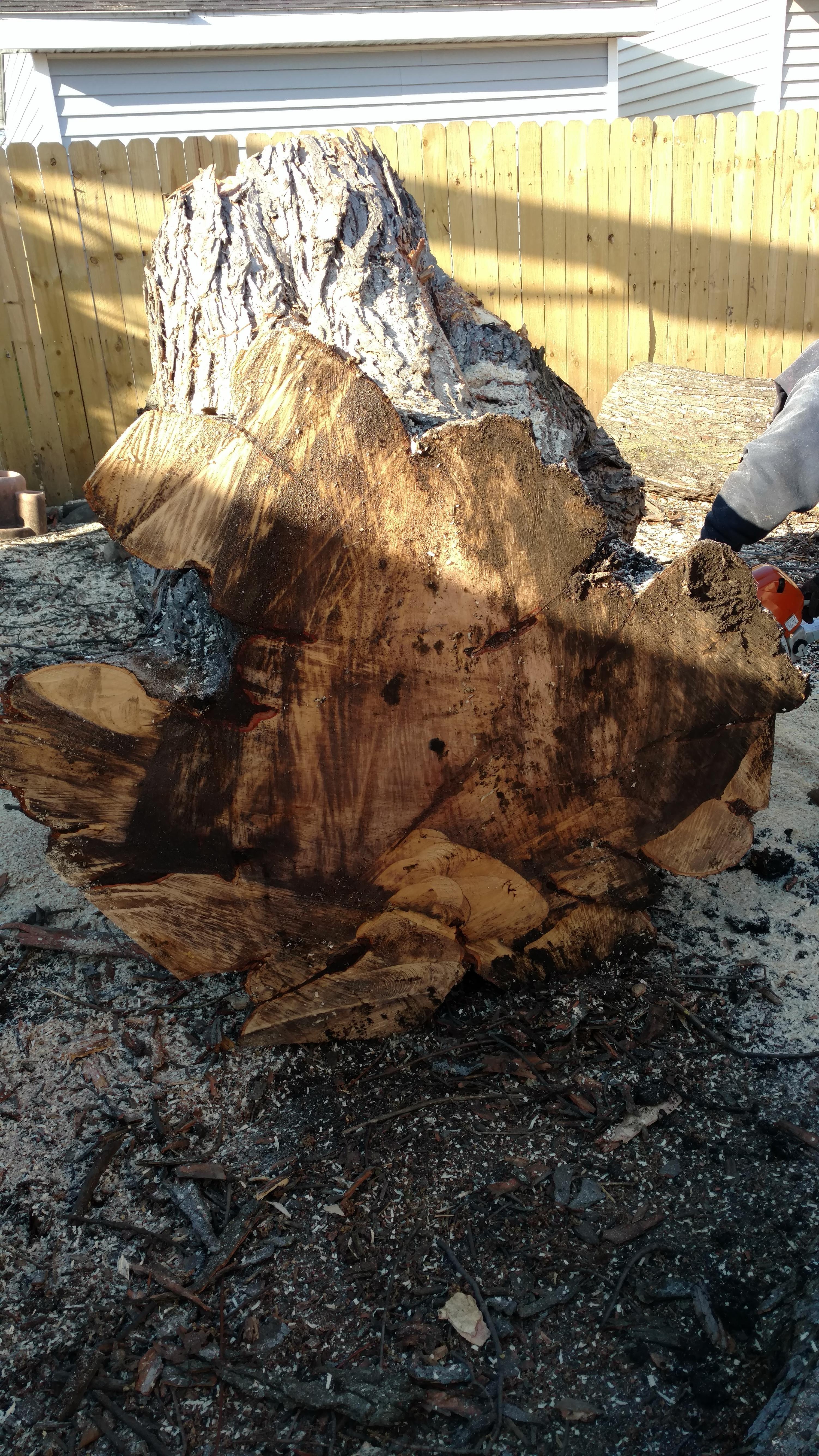 New Beginning Tree Service Company Image