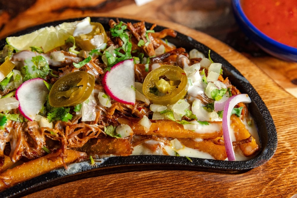 Birria Fries