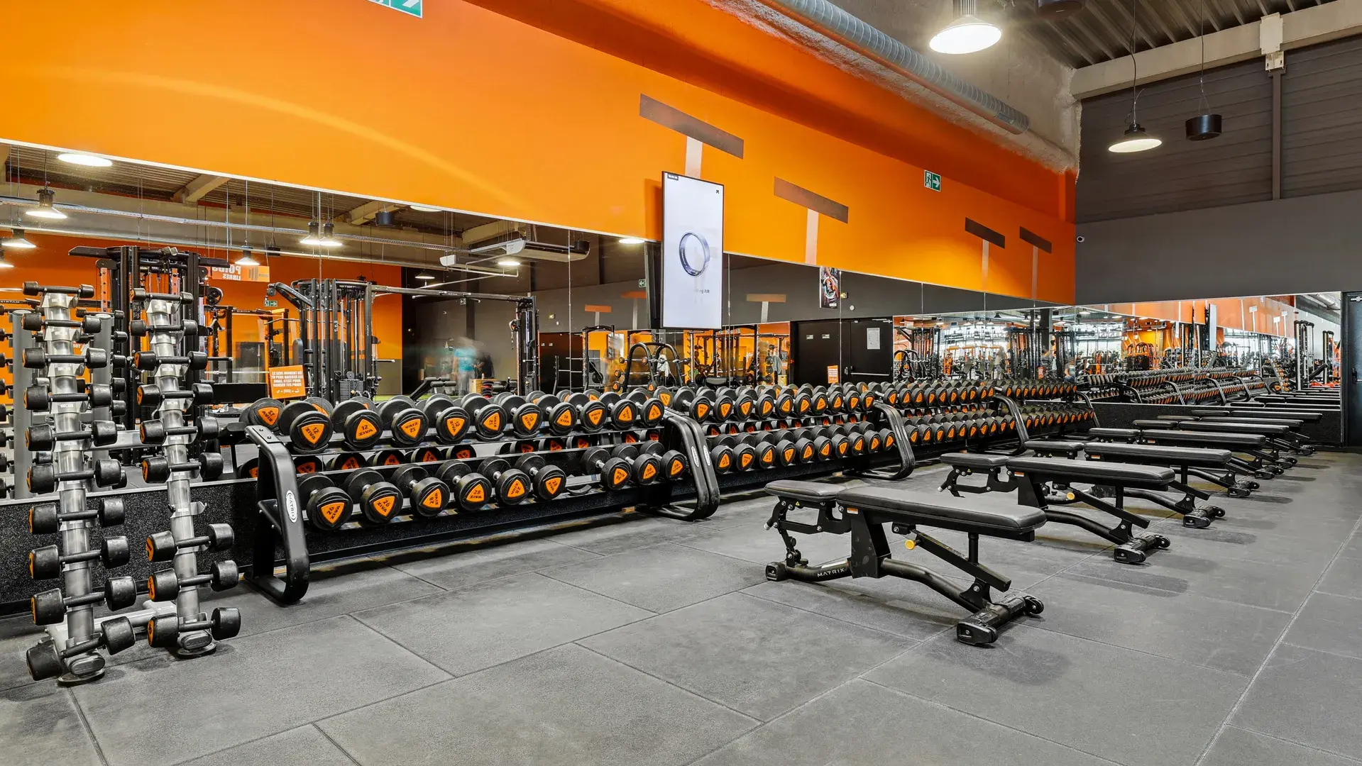 Miniature de la galerie