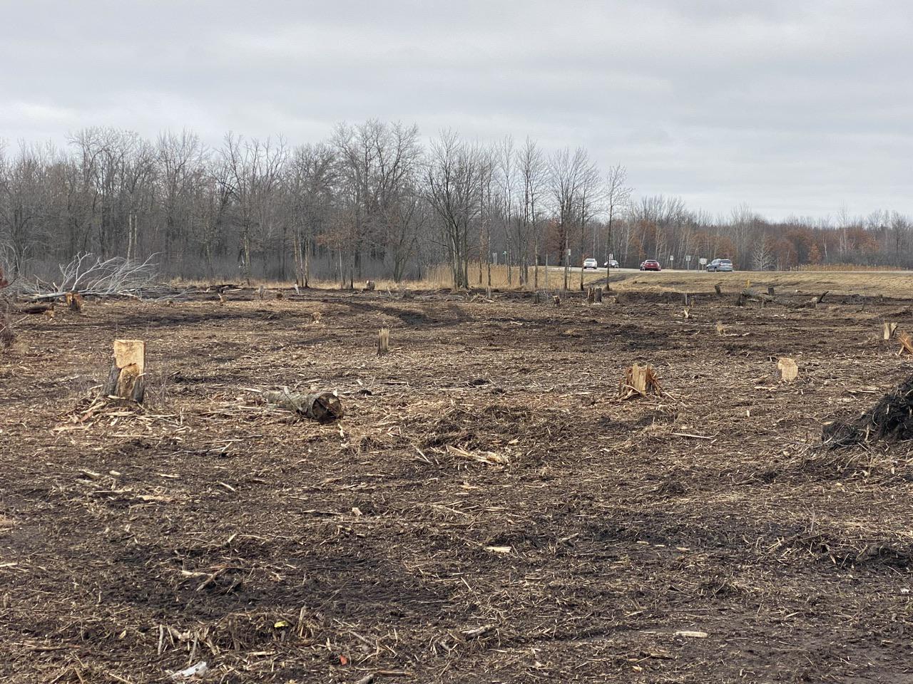 Carlson Earthwork and Construction LLC Image