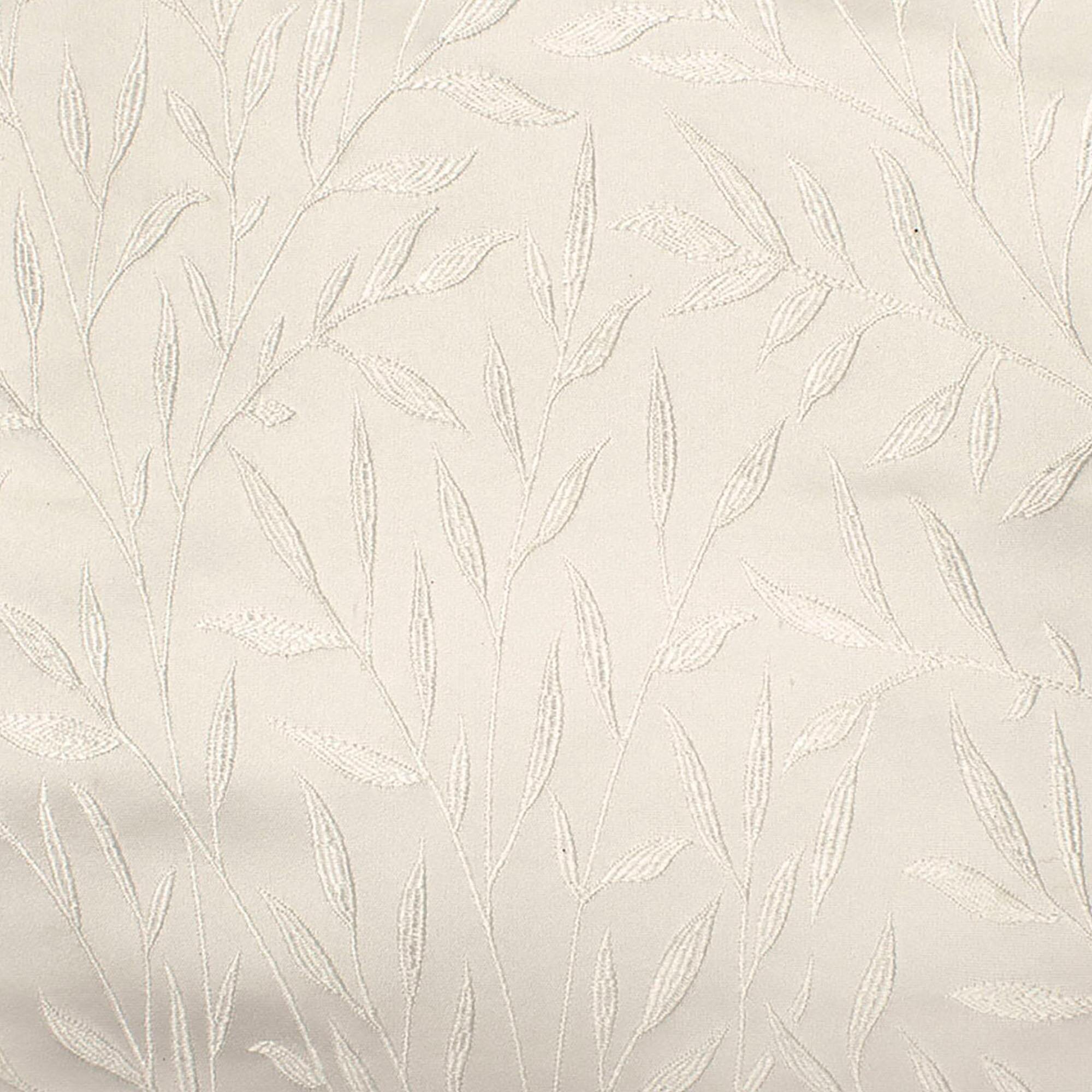 Beautiful Windows Elgin Image