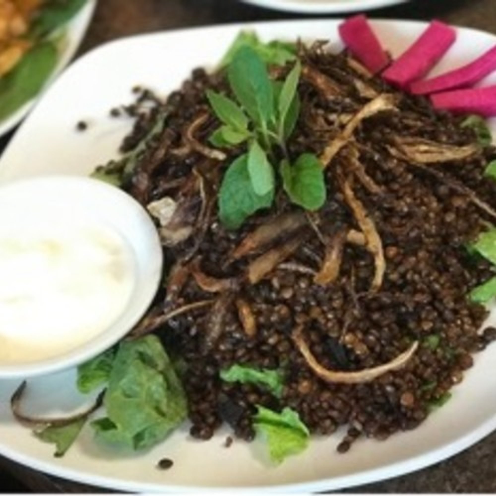 Mujadara Lunch