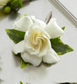 The FTD® Gardenia Boutonniere