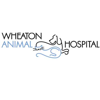Wheaton Animal Hospital
