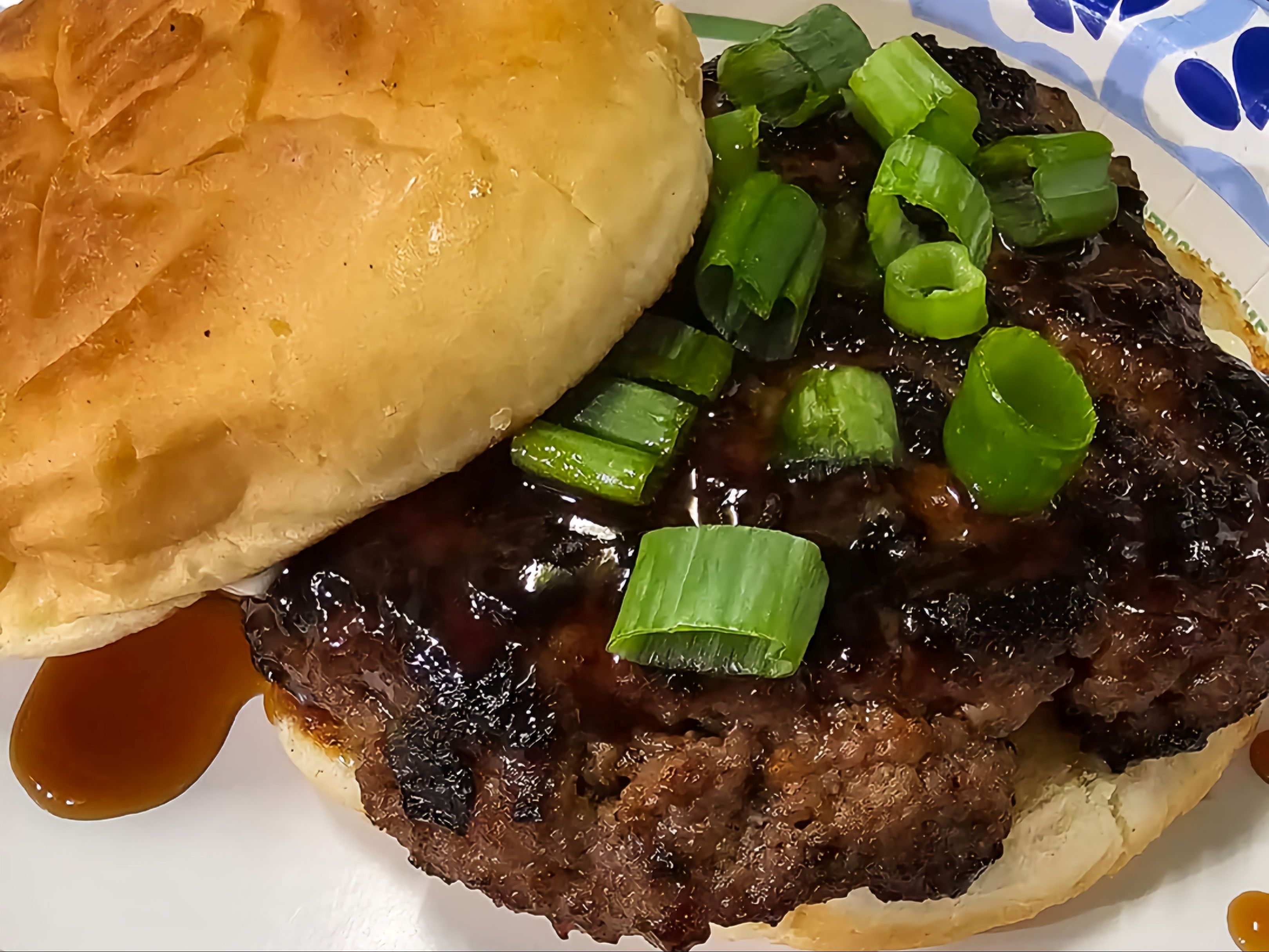 Shaka Teriyaki Beef Sandwich W/French Fries
