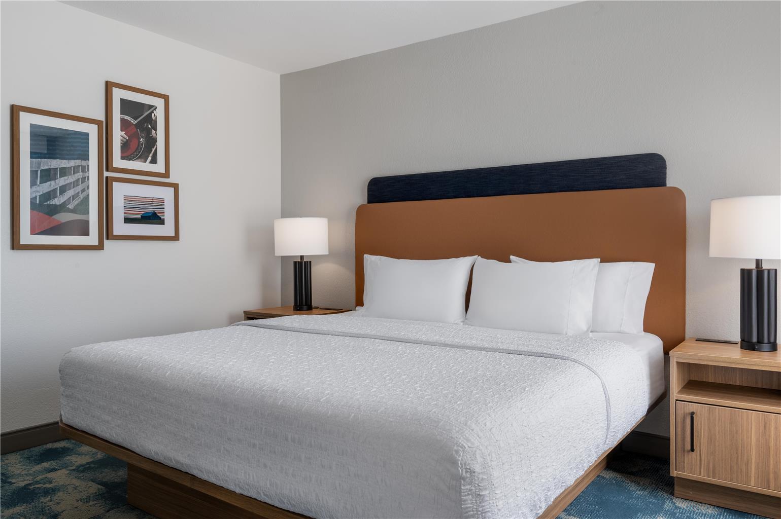 Hampton Inn Owensboro South Image