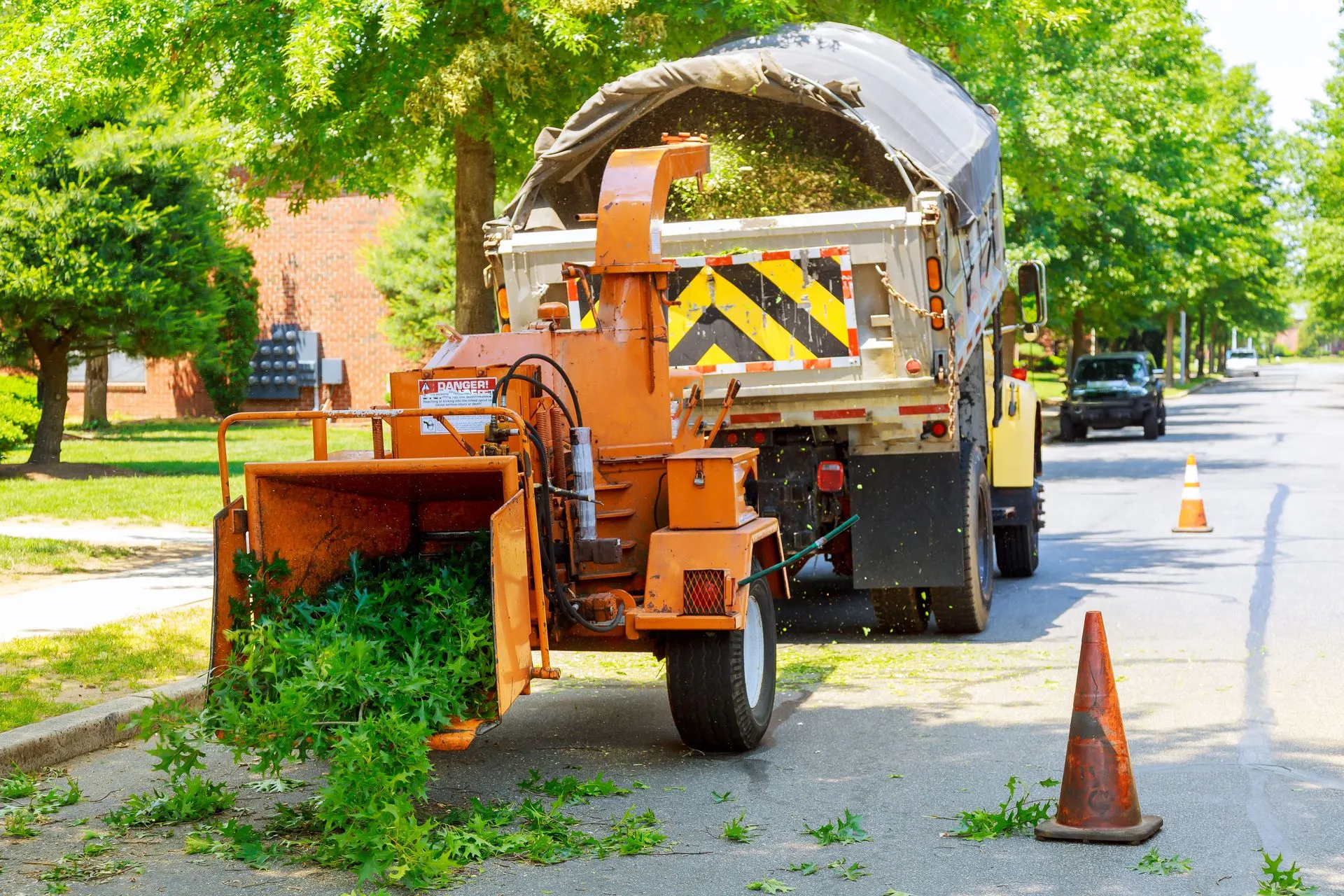 Wood Chipping Services