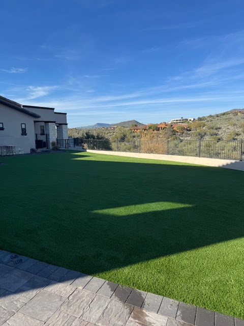 Waterloo Turf Scottsdale Image