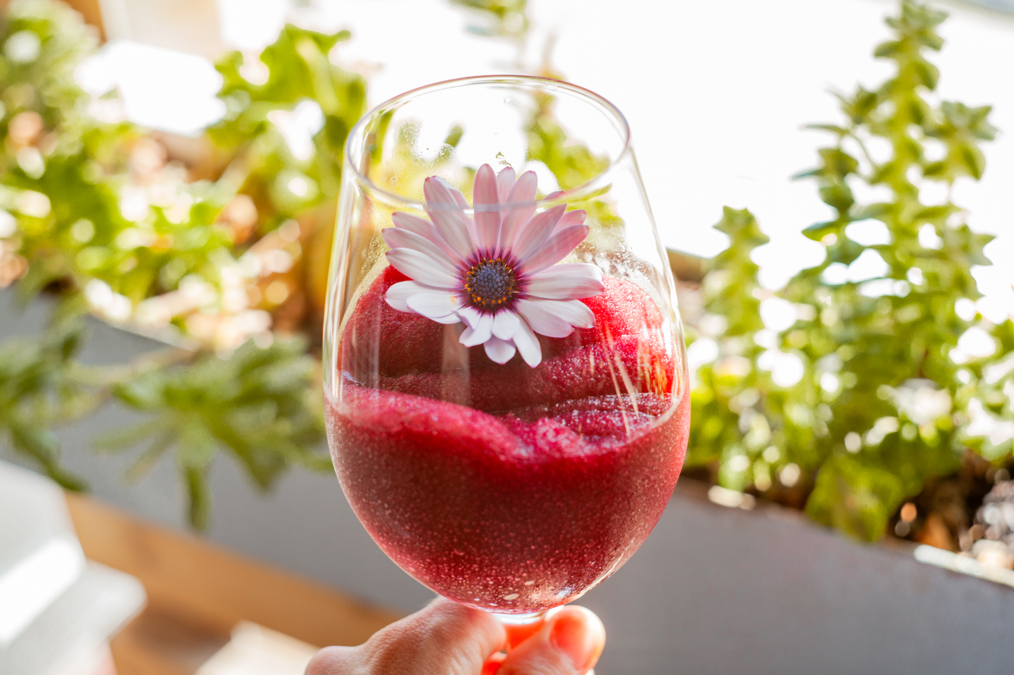 Frozen Blueberry Spritz