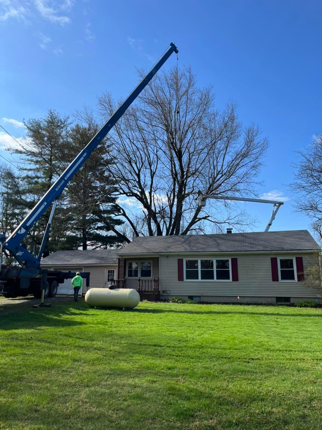 Specialty Tree & Bucket Service Image