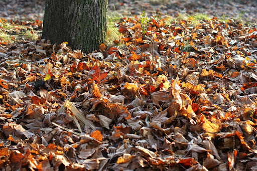 Fernandez & Sons Masonry Landscaping Corp. Image