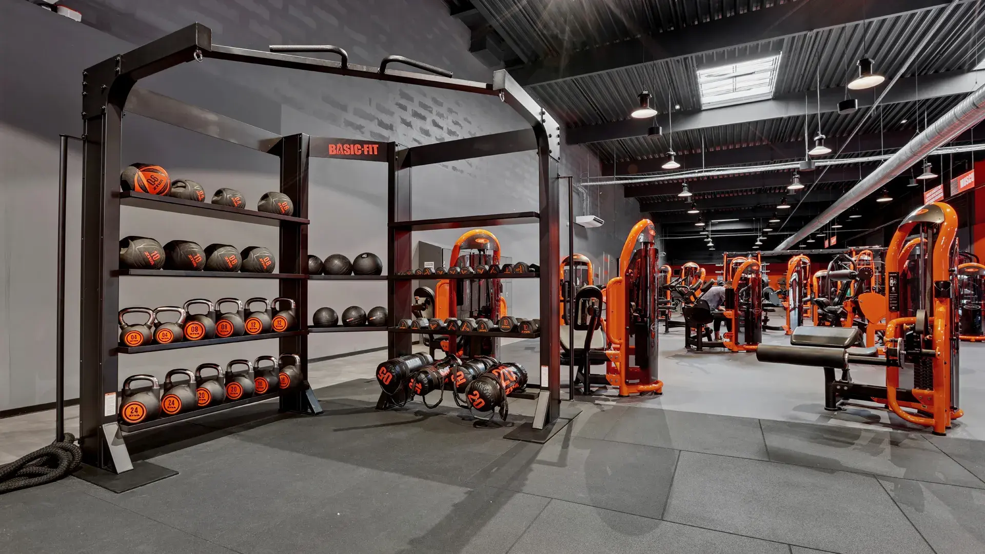 Miniature de la galerie