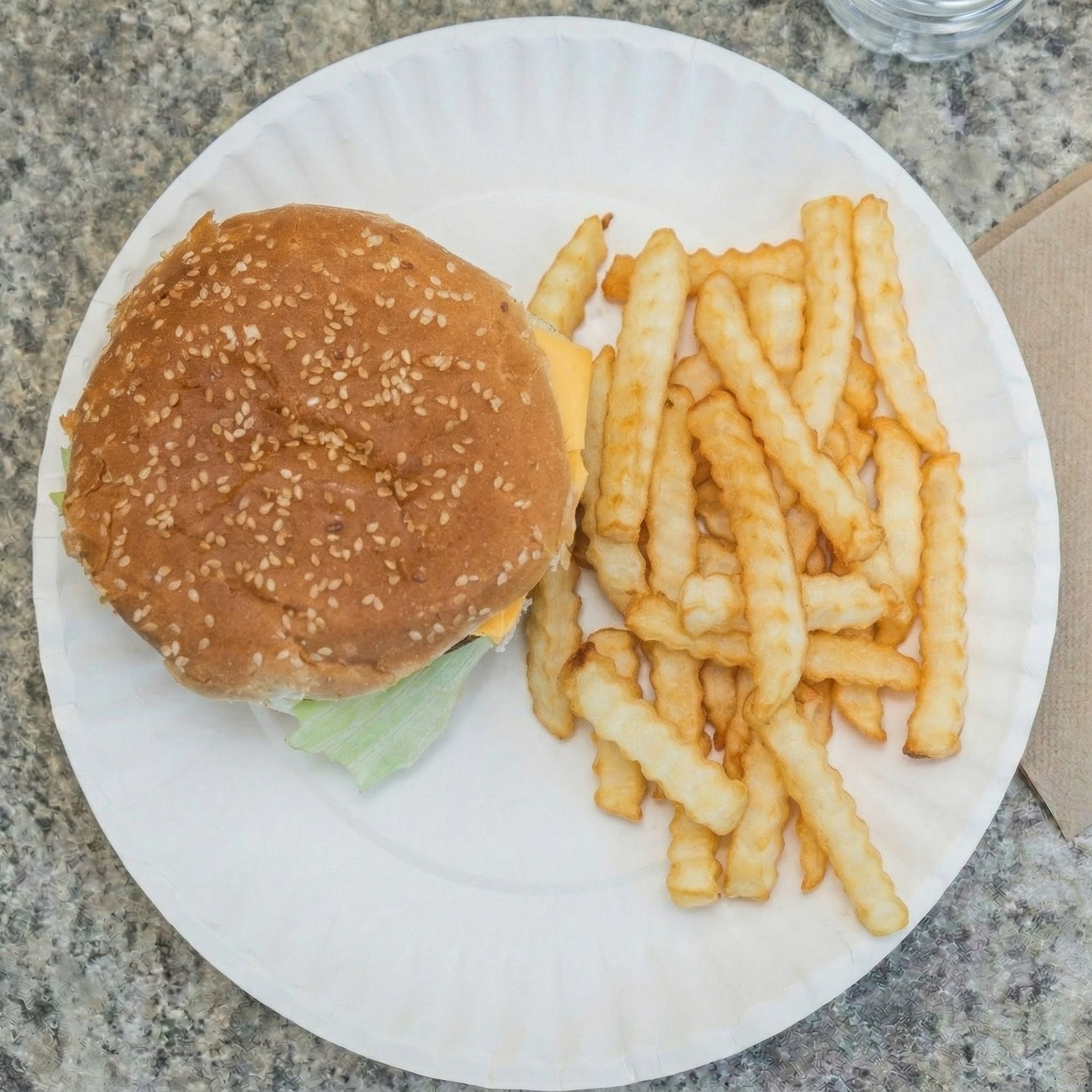 The Classic Burger with Fries