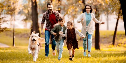 Feinberg & Associates Image