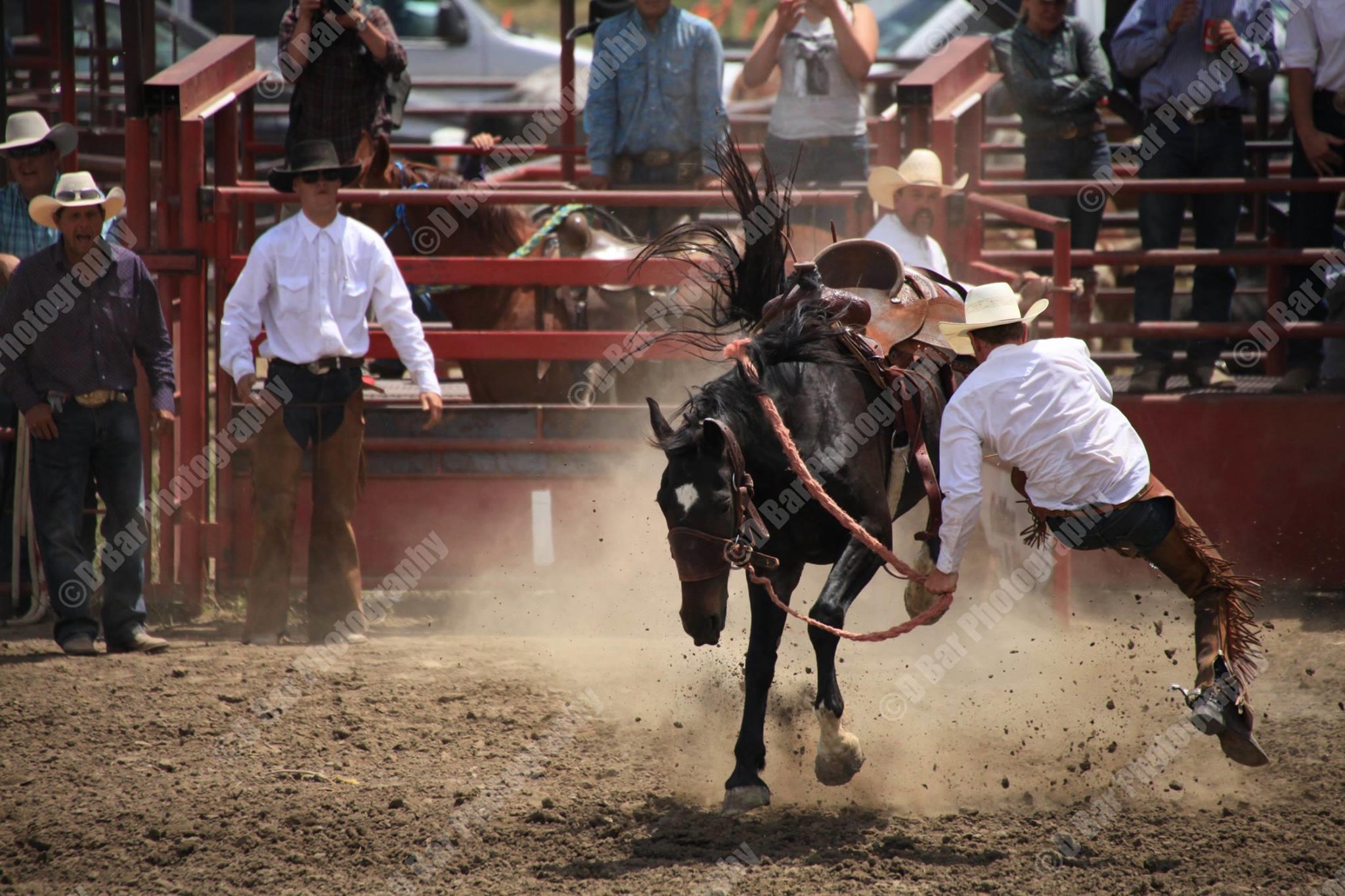 D Bar Photography Logo