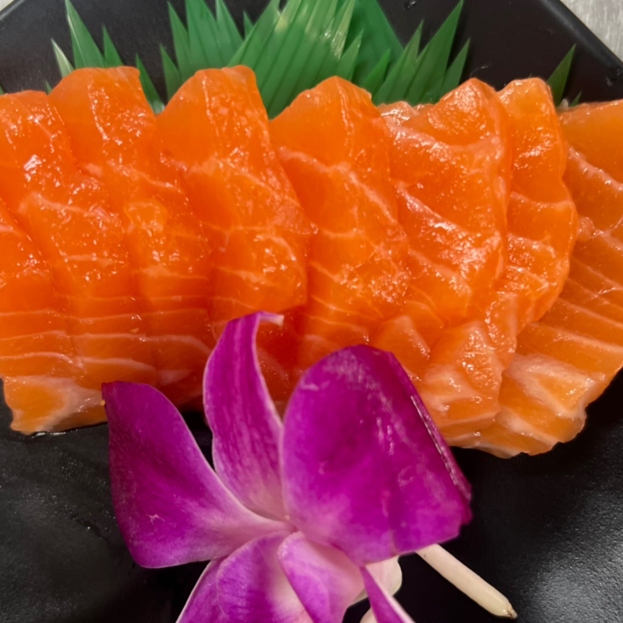 Salmon Sashimi