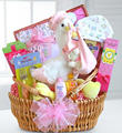 Special Stork Delivery Baby Girl Basket