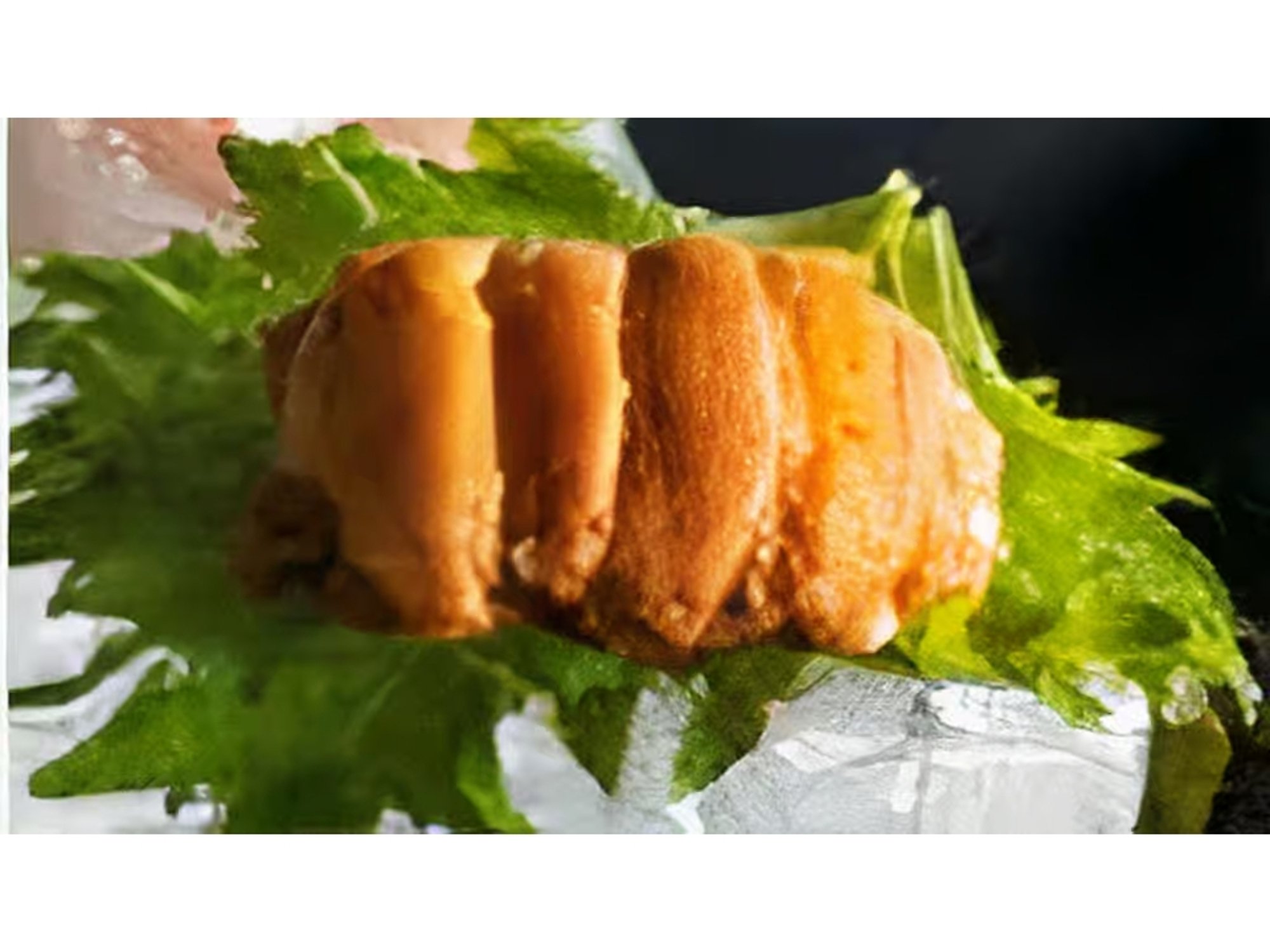 Uni