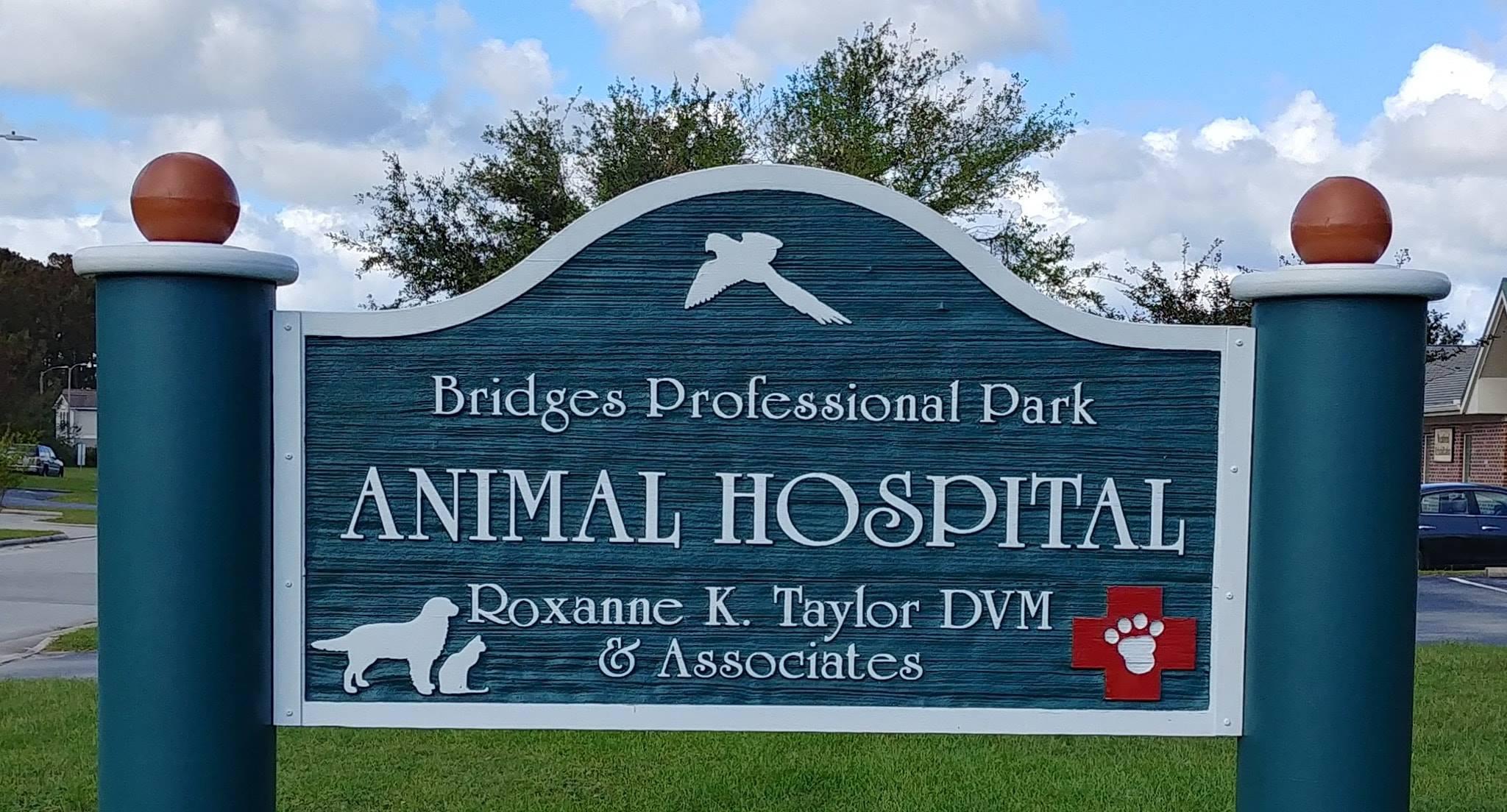 Bridges Professional Park Animal Hospital Photo