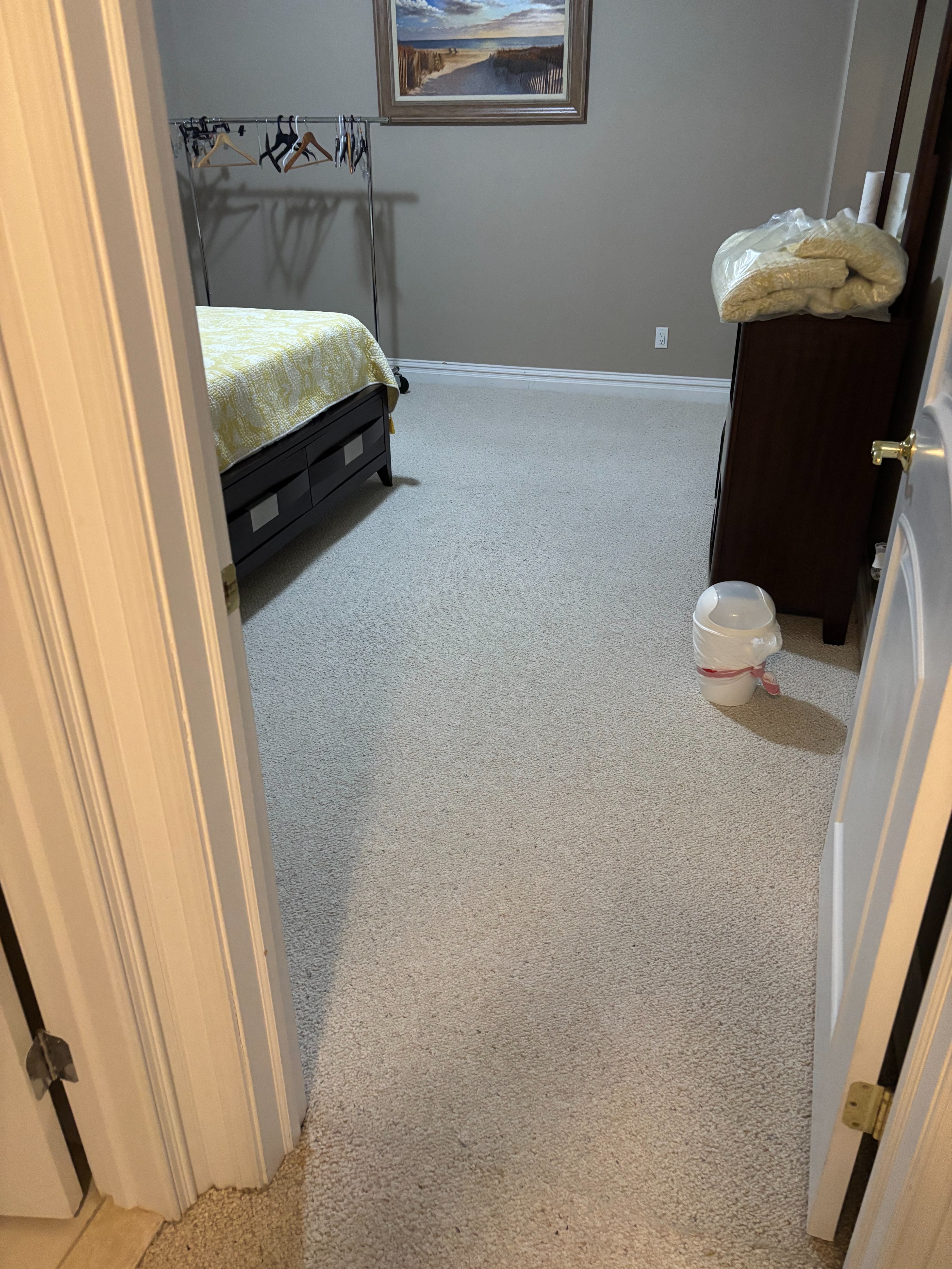 Elite Green Carpet Cleaning Image