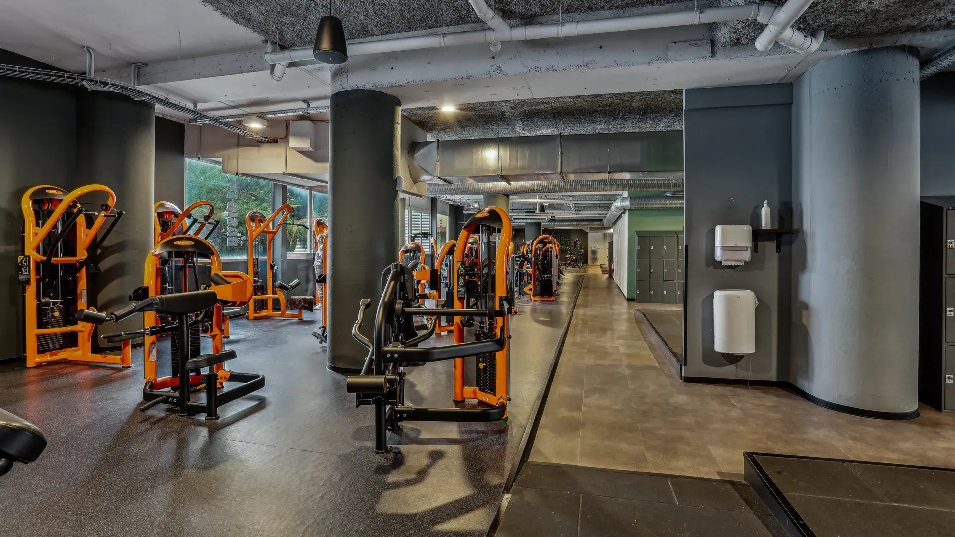 Miniature de la galerie