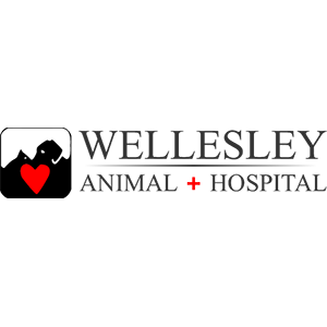Wellesley Animal Hospital