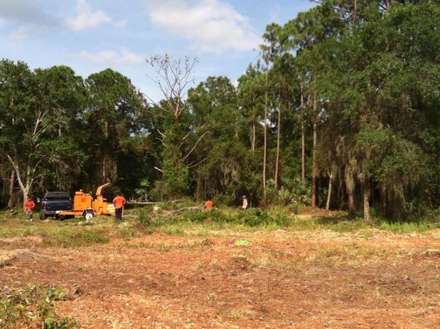 Images Deans Tree Services
