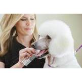 FURST CHOICE PET SERVICE