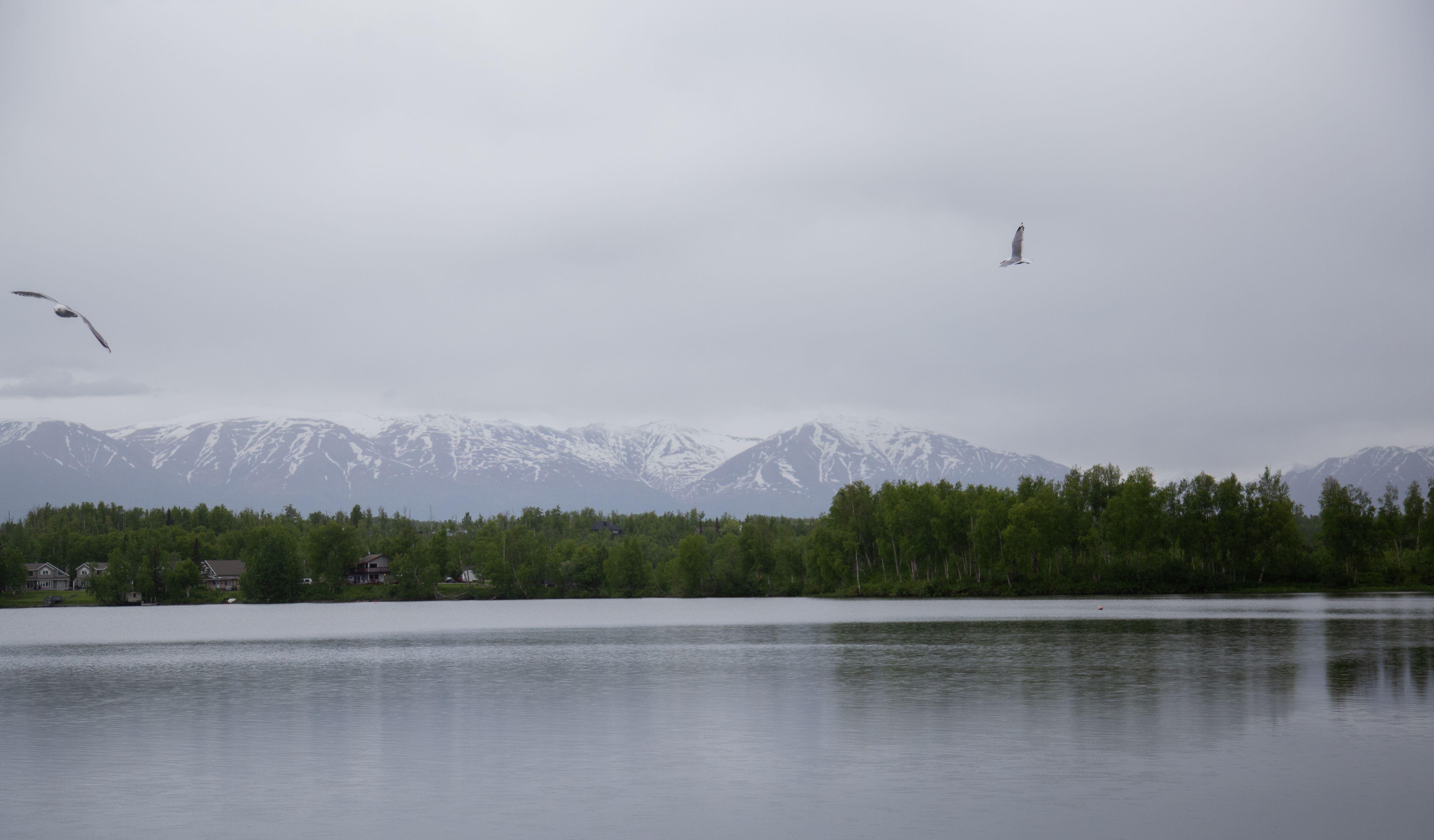 Headlight Therapists and Psychiatric Services Wasilla Image