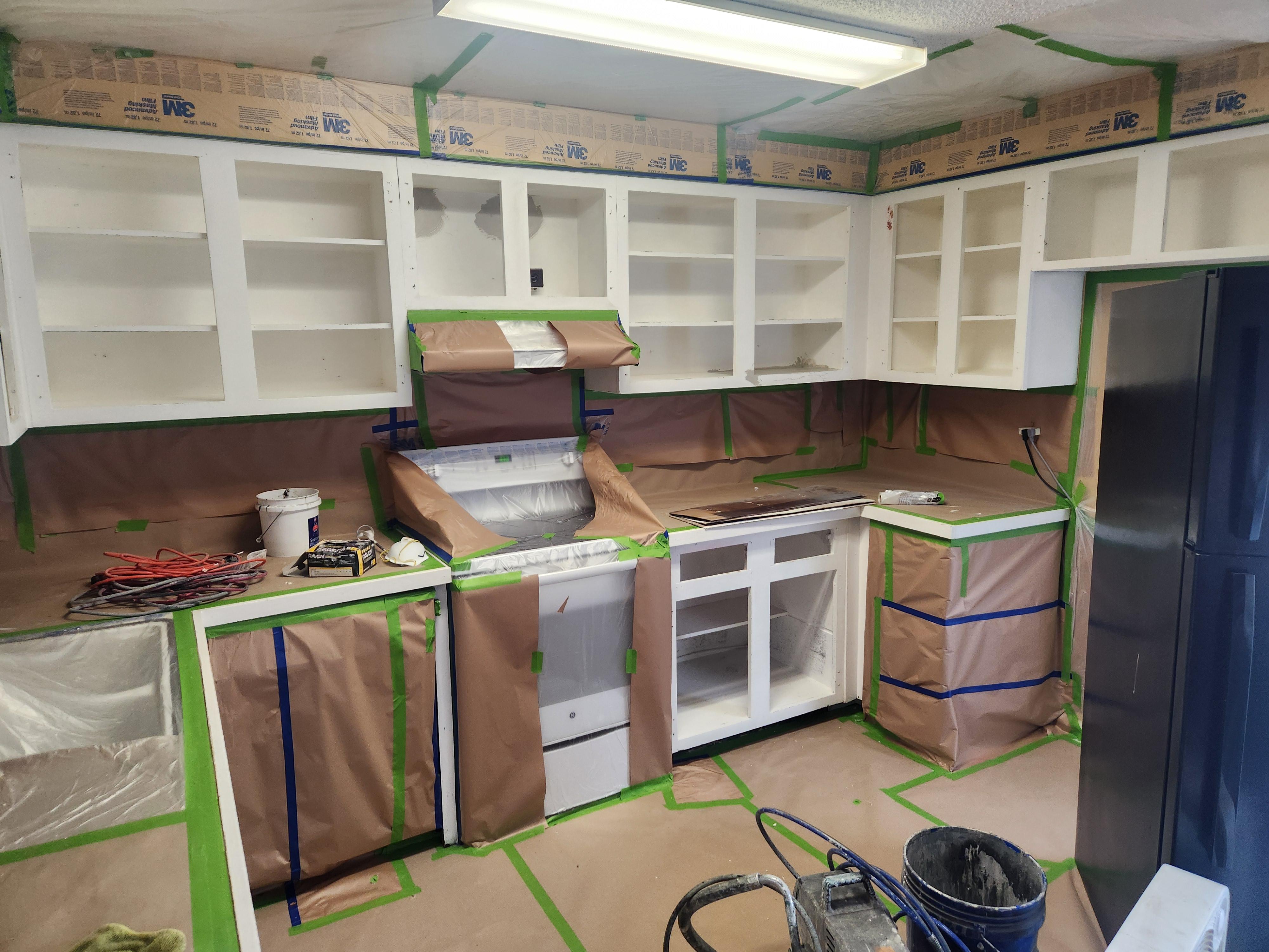 Wild Fox Painting of Highlands Ranch Image