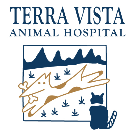 Terra Vista Animal Photo