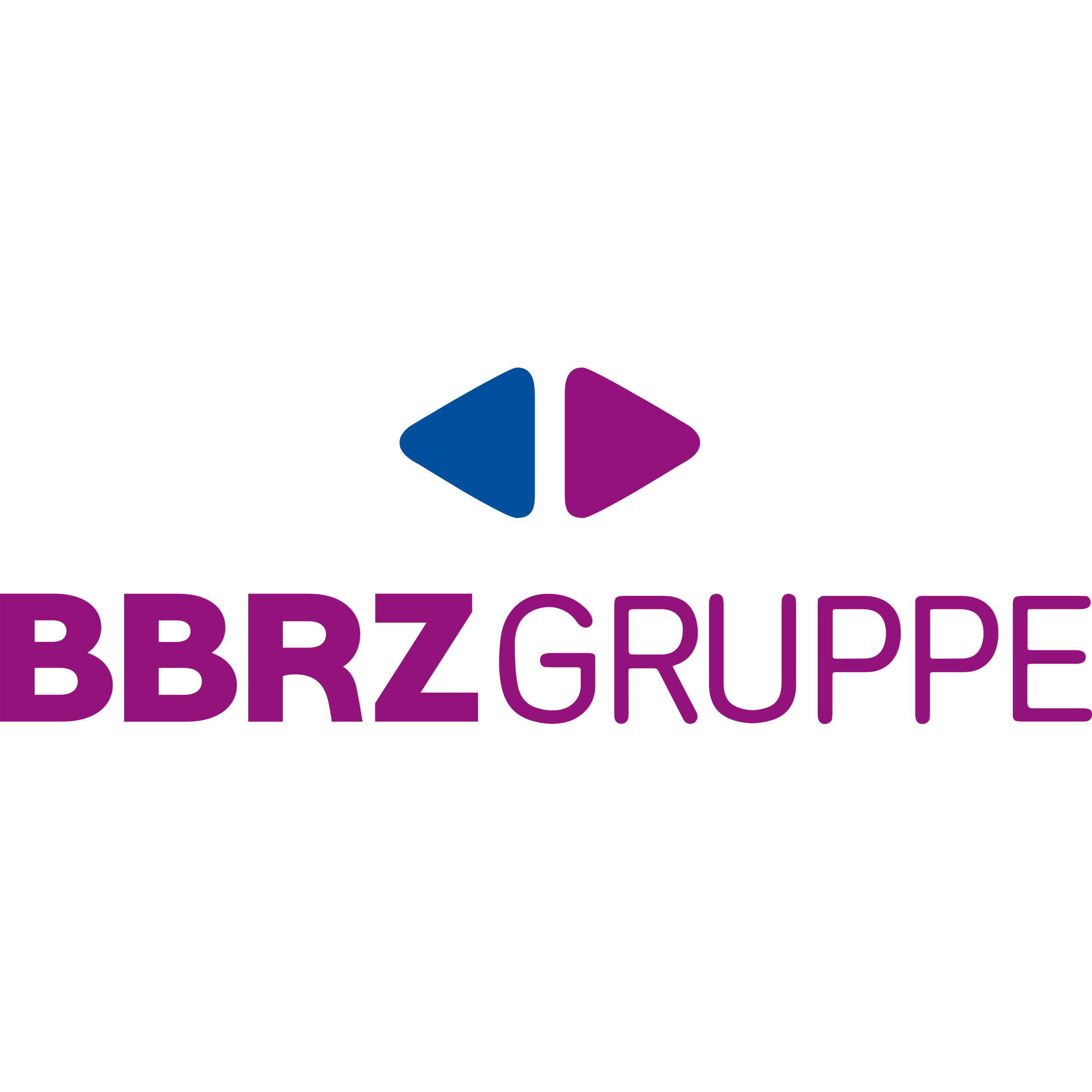Logo von Verein zur Förderung der BBRZ GRUPPE