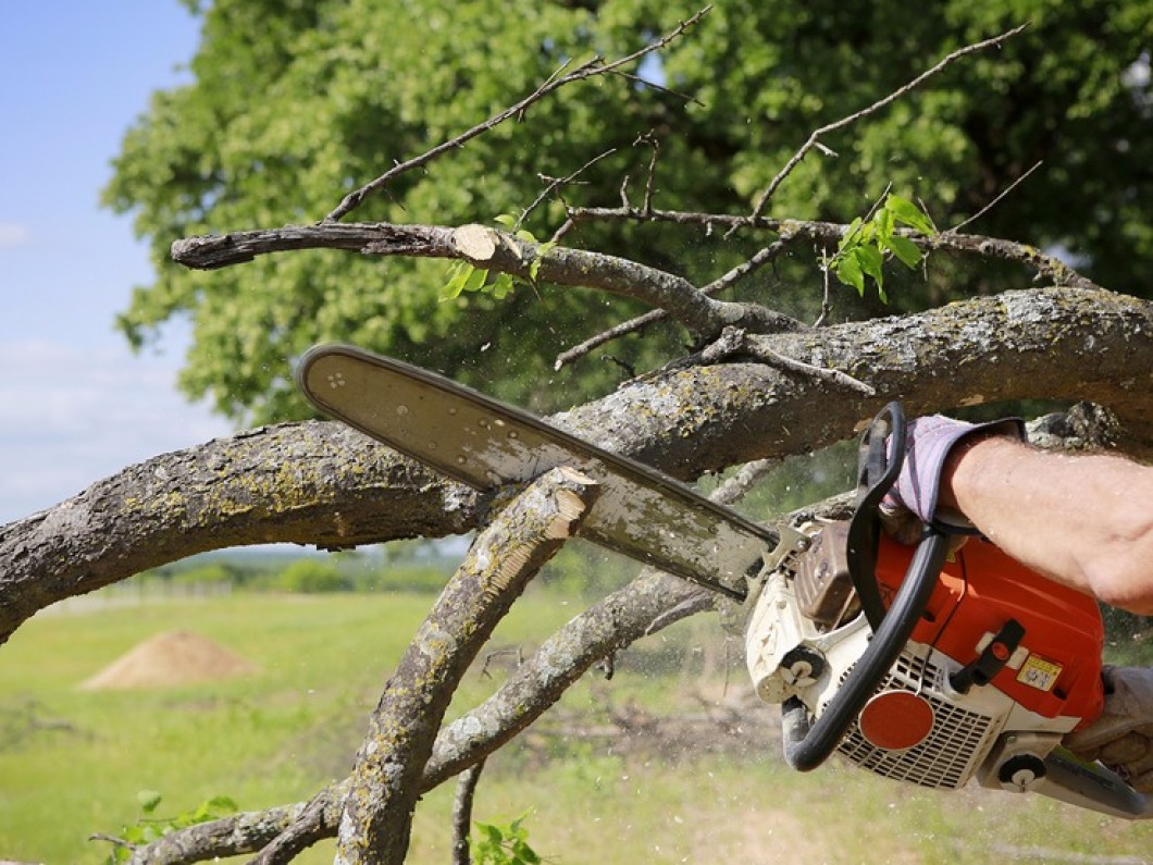 Discount Tree Service Photo