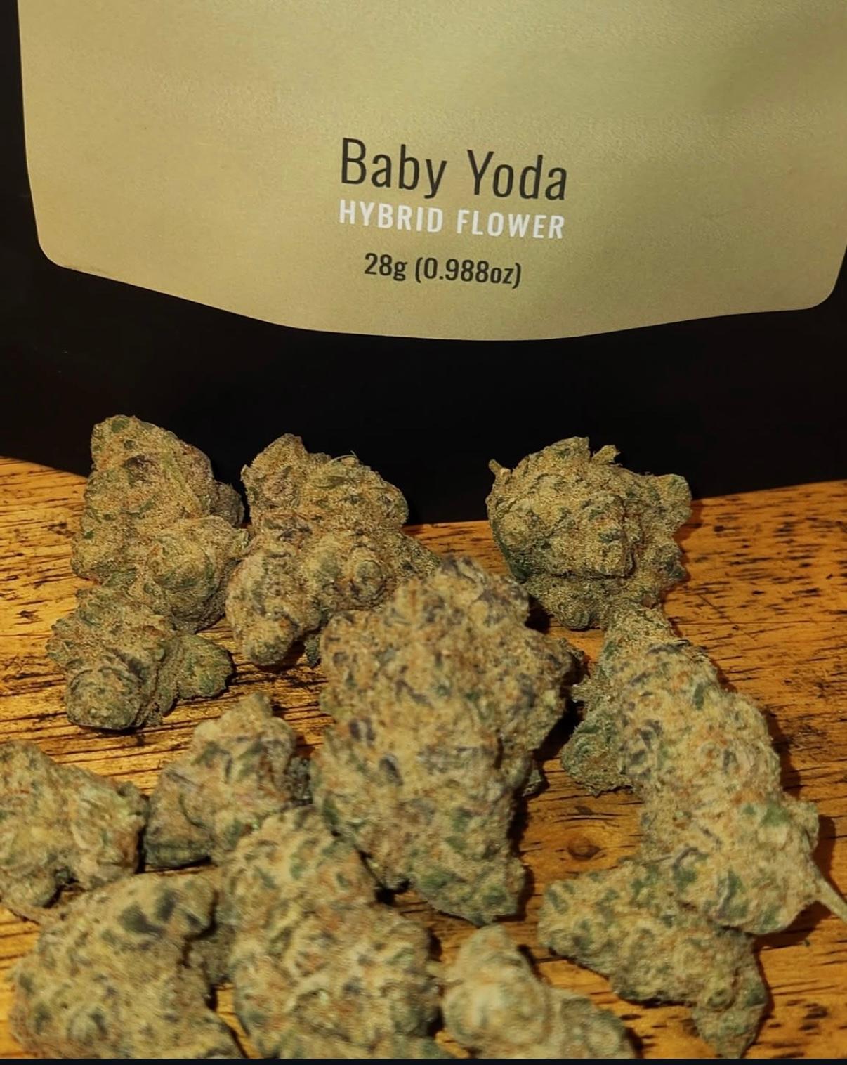 The Library of New Jersey CANNABIS DISPENSARY Image