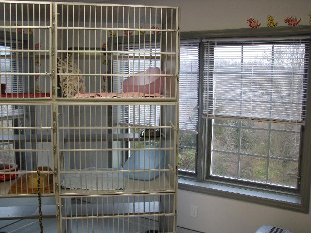 Romaine Creek Veterinary Center Photo