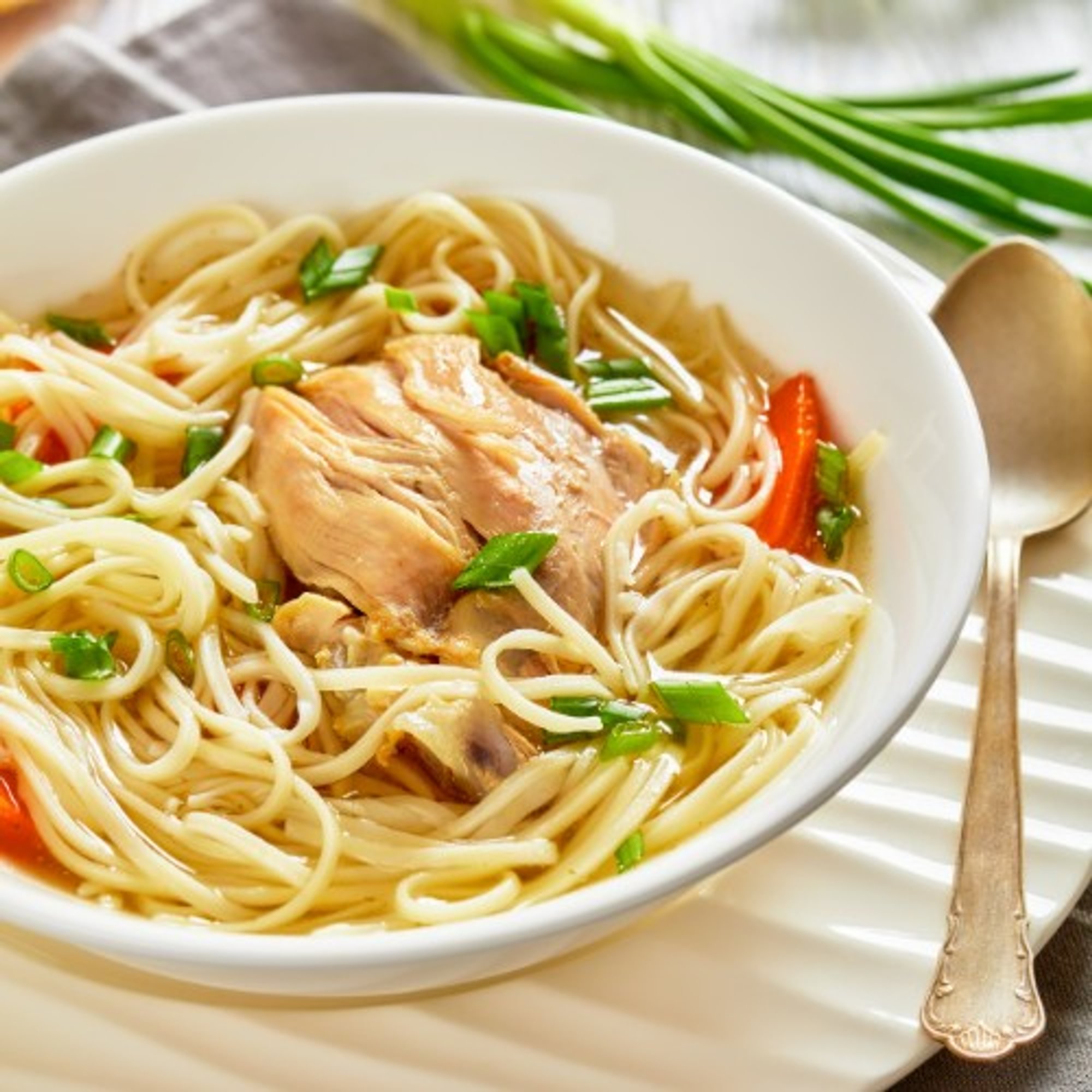 Chicken Noodle Soup