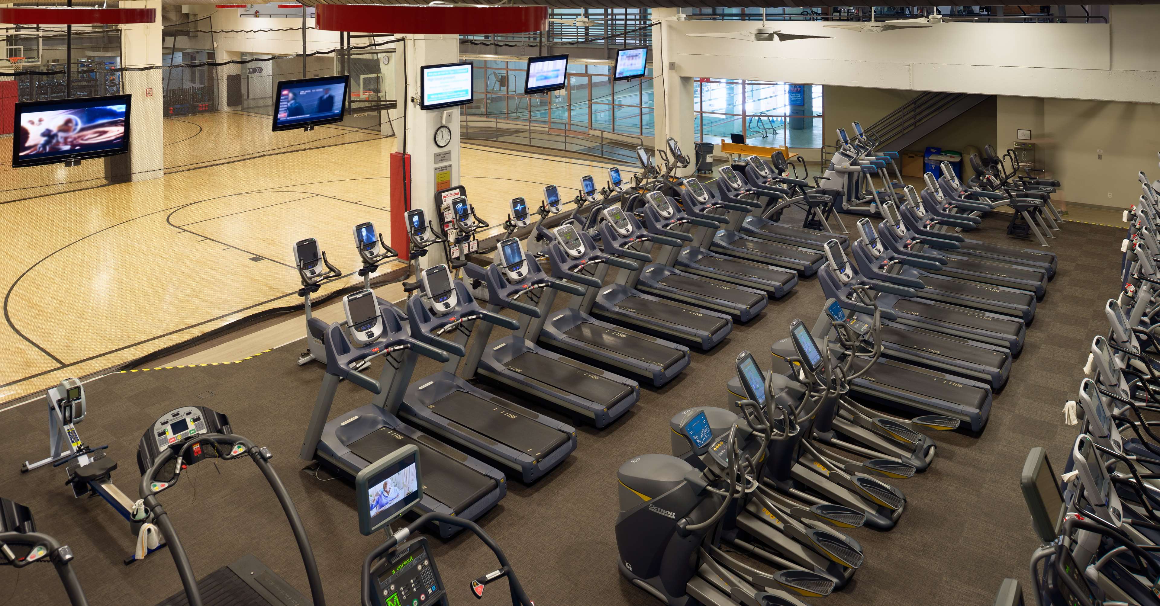 Health club  fitness center  gym