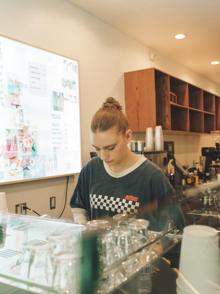 Jurassic Magic Image